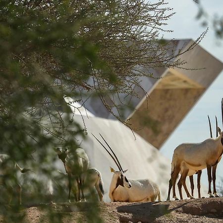Green Mubazzarah Chalets al-Ain Exterior foto